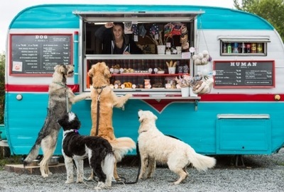 The Seattle Barkery
