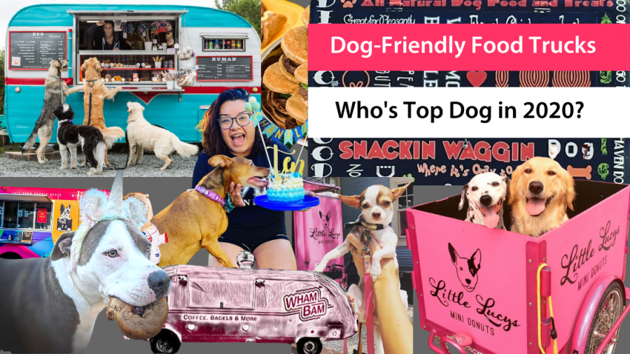 DOG-FRIENDLY CITIES & FOOD TRUCKS